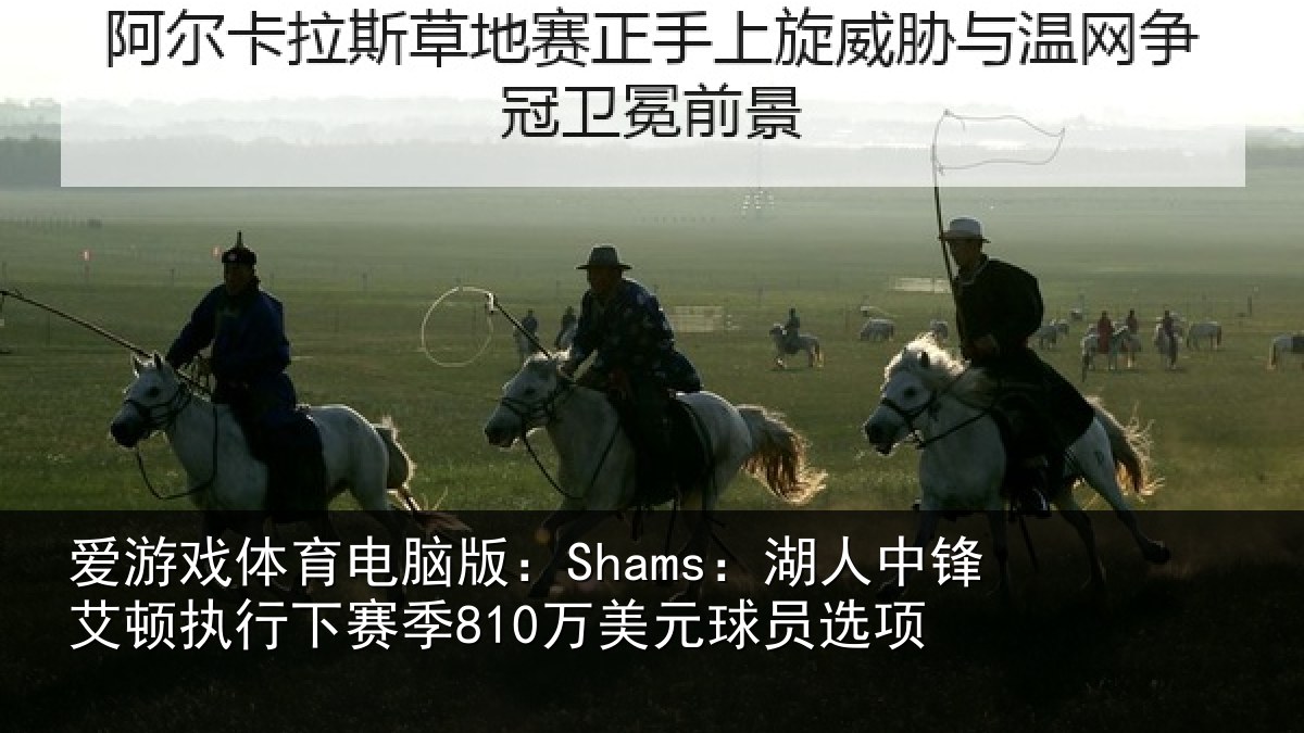 爱游戏体育电脑版：Shams：湖人相关情况季810万美元球员选项