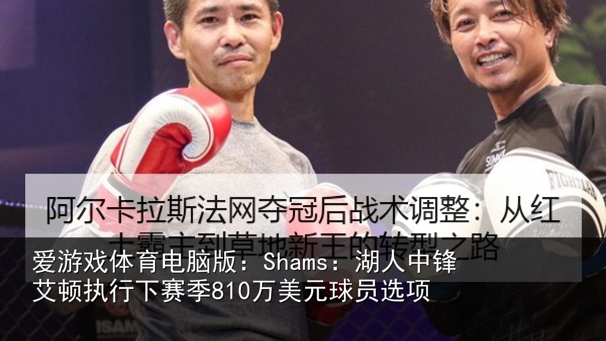 爱游戏体育电脑版：Shams：湖人相关情况球员选项