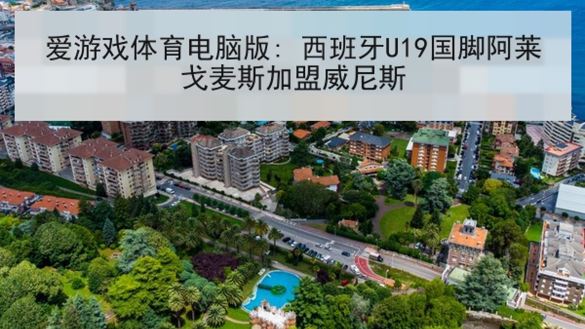爱游戏体育电脑版: 西班牙U19国脚阿莱戈麦斯加盟威尼斯