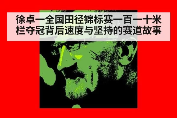 徐卓一全国田径锦标赛一百一十米栏夺冠背后速度与坚持的赛道故事